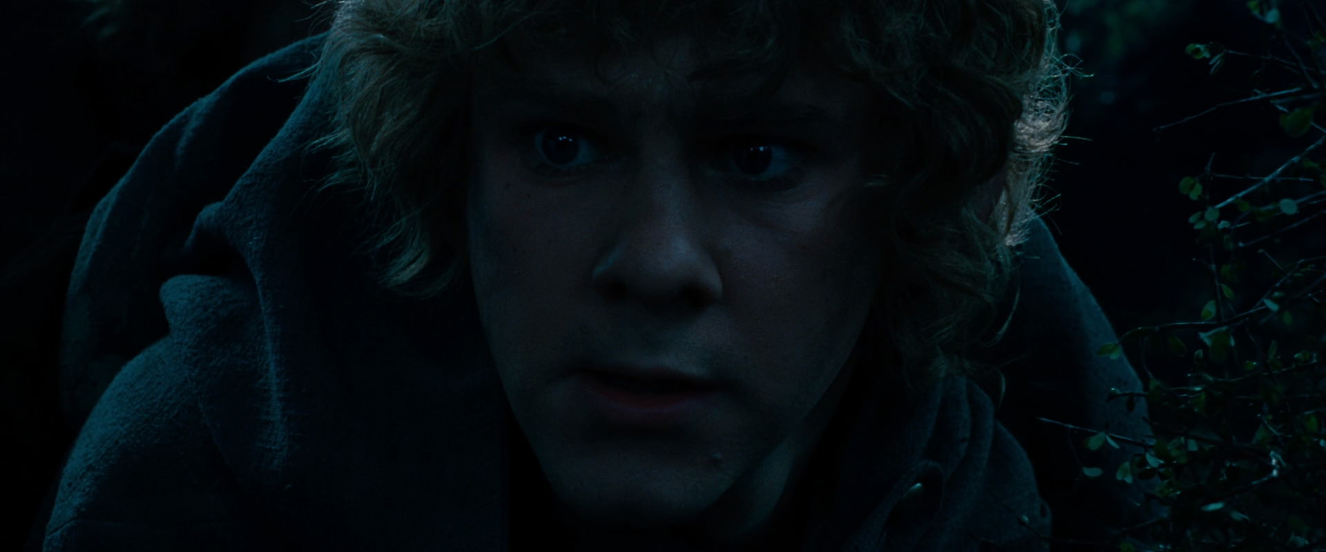 The Lord of the Rings: The Fellowship of the Ring (2001) movie still 6478