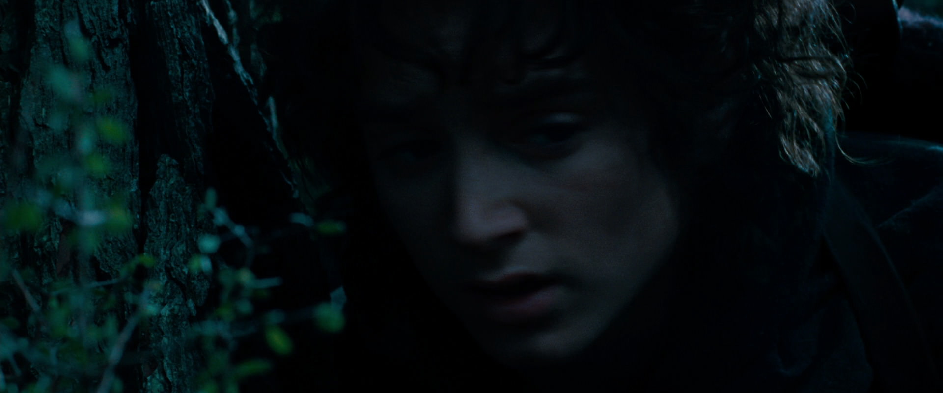 The Lord of the Rings: The Fellowship of the Ring (2001) HD screenshot 6479