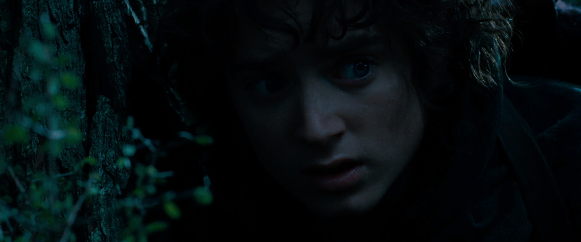 The Lord of the Rings: The Fellowship of the Ring (2001) screencap 6480