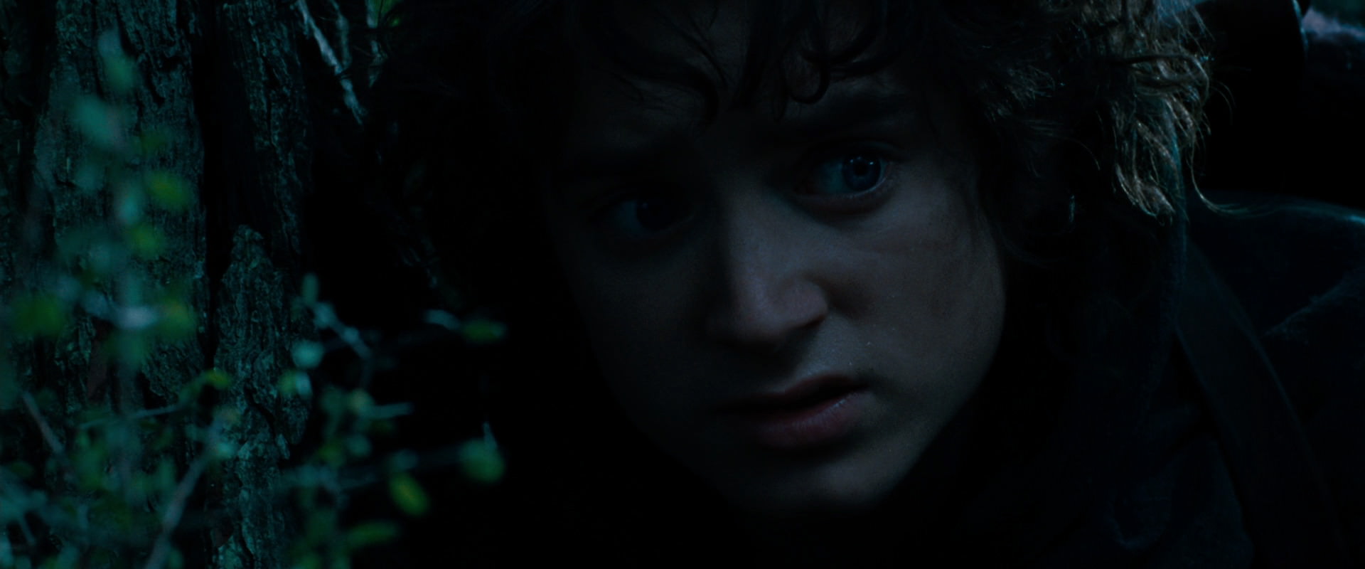 The Lord of the Rings: The Fellowship of the Ring (2001) movie still 6481