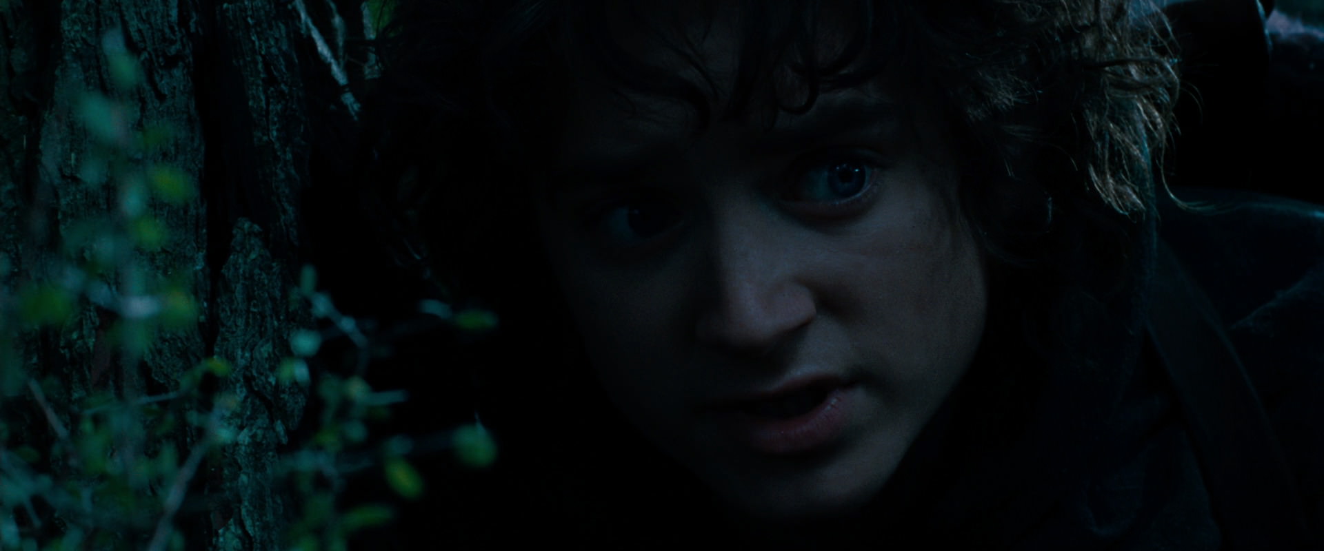 The Lord of the Rings: The Fellowship of the Ring (2001) HD screenshot 6482