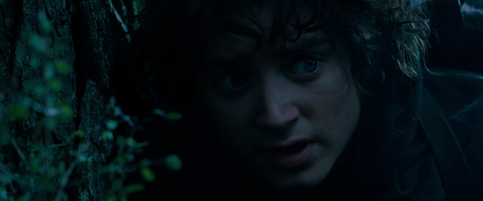 The Lord of the Rings: The Fellowship of the Ring (2001) screencap 6483
