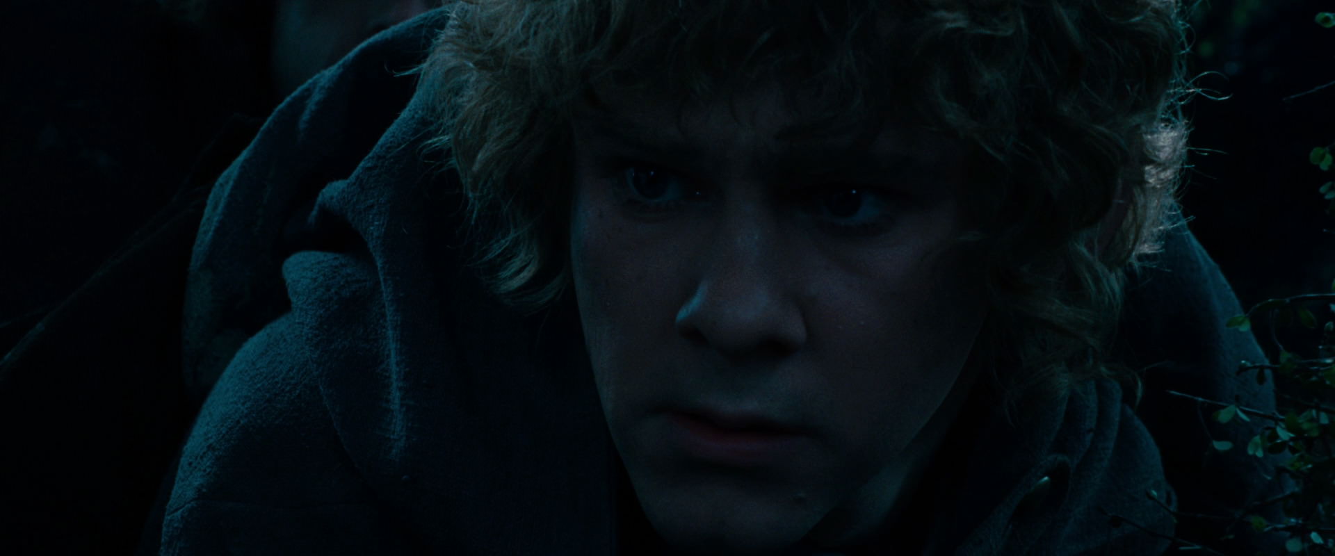 The Lord of the Rings: The Fellowship of the Ring (2001) movie still 6484