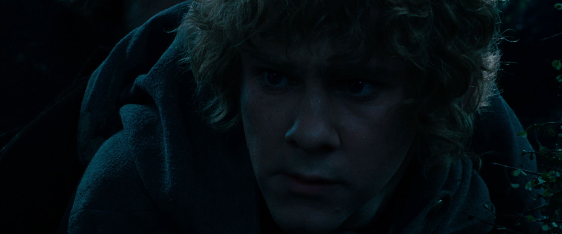 The Lord of the Rings: The Fellowship of the Ring (2001) HD screenshot 6485