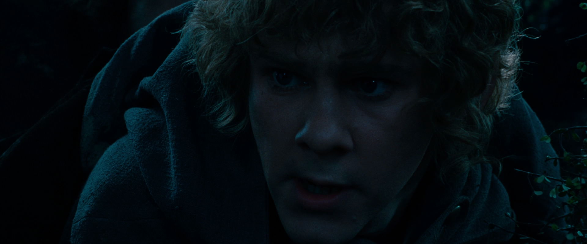 The Lord of the Rings: The Fellowship of the Ring (2001) screencap 6486