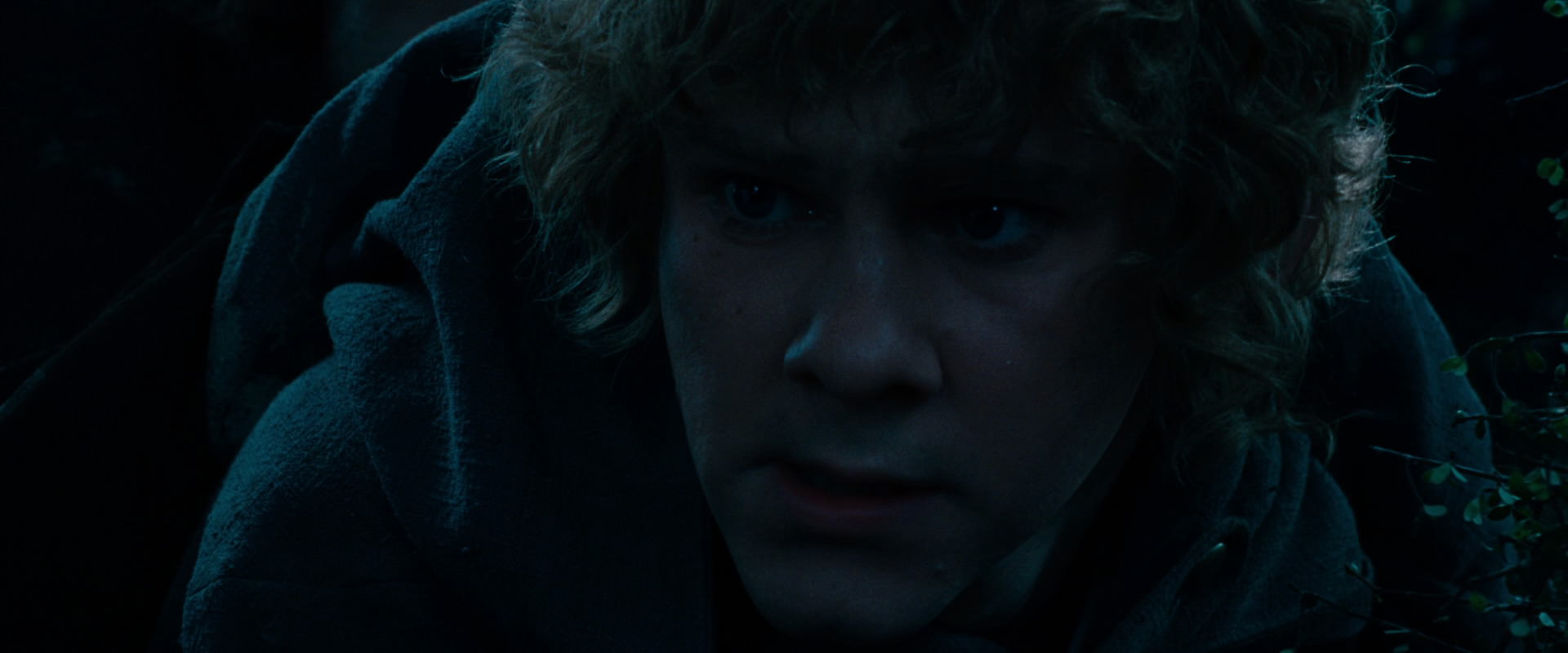 The Lord of the Rings: The Fellowship of the Ring (2001) movie still 6487