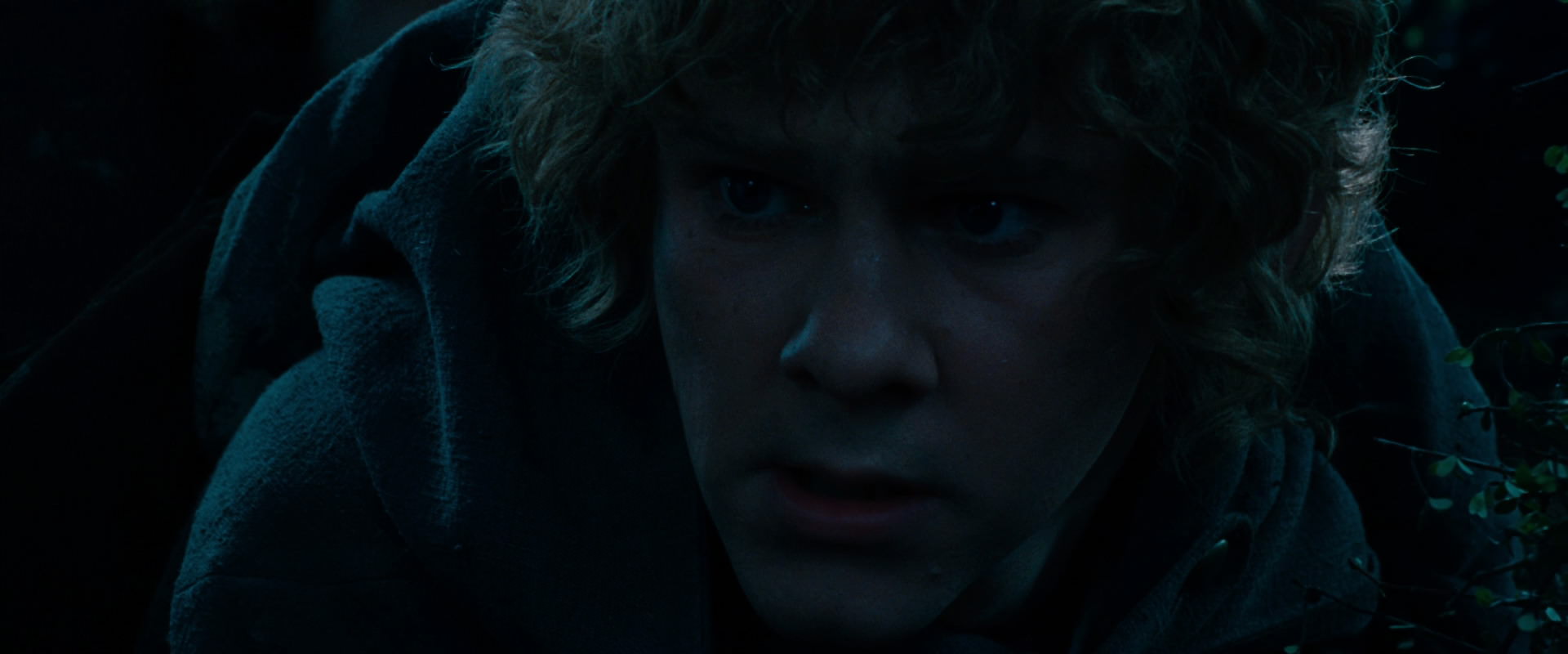 The Lord of the Rings: The Fellowship of the Ring (2001) HD screenshot 6488