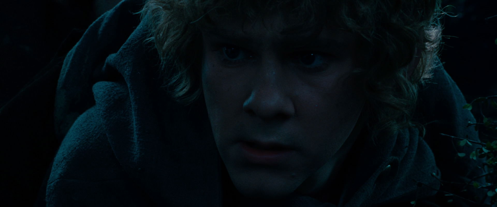 The Lord of the Rings: The Fellowship of the Ring (2001) screencap 6489
