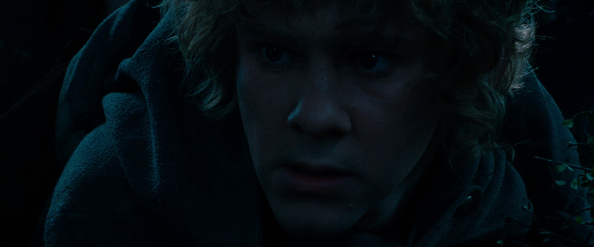 The Lord of the Rings: The Fellowship of the Ring (2001) movie still 6490
