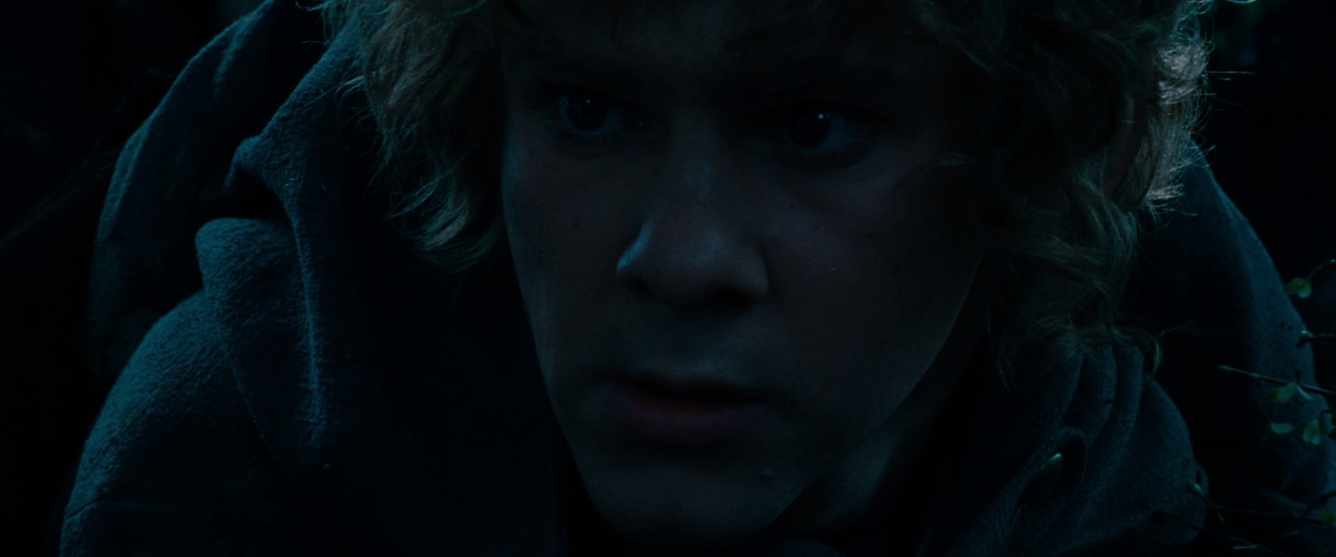 The Lord of the Rings: The Fellowship of the Ring (2001) HD screenshot 6491