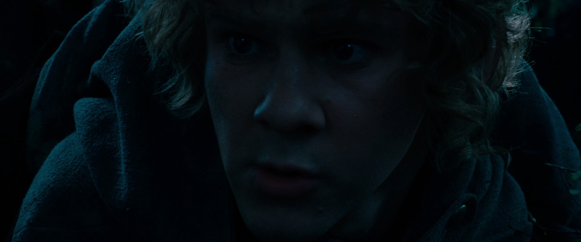 The Lord of the Rings: The Fellowship of the Ring (2001) screencap 6492