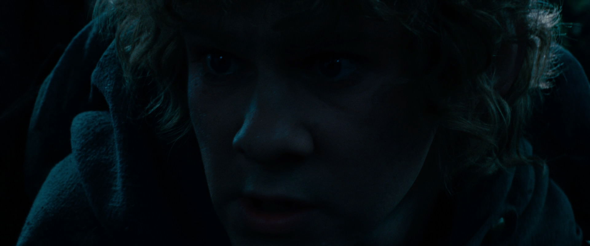 The Lord of the Rings: The Fellowship of the Ring (2001) HD screenshot 6494