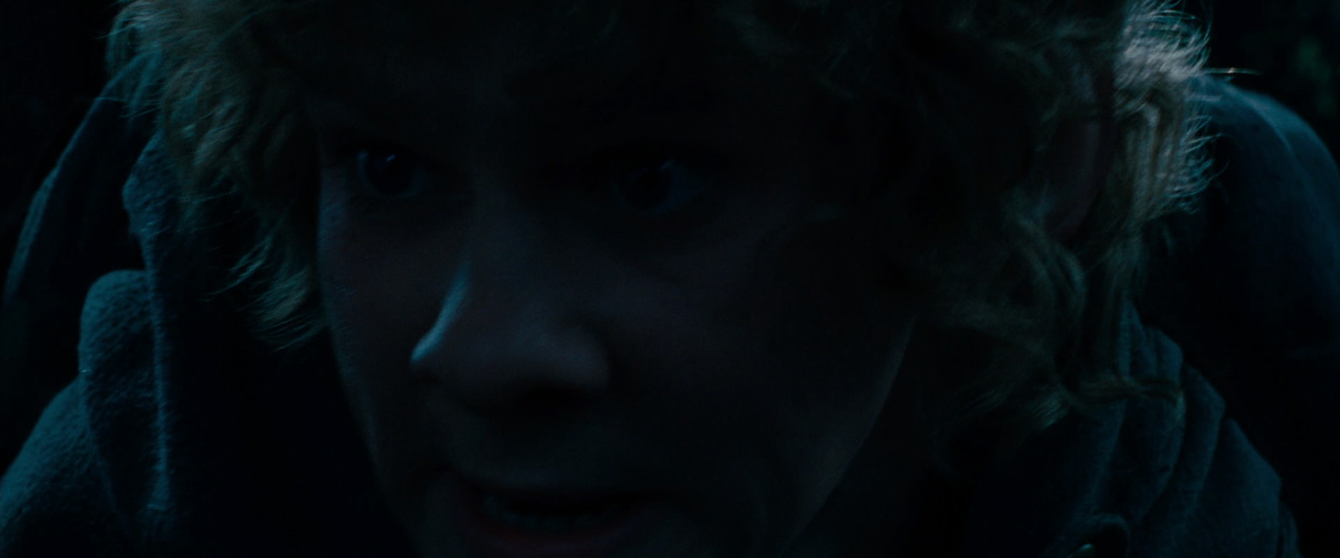 The Lord of the Rings: The Fellowship of the Ring (2001) screencap 6495