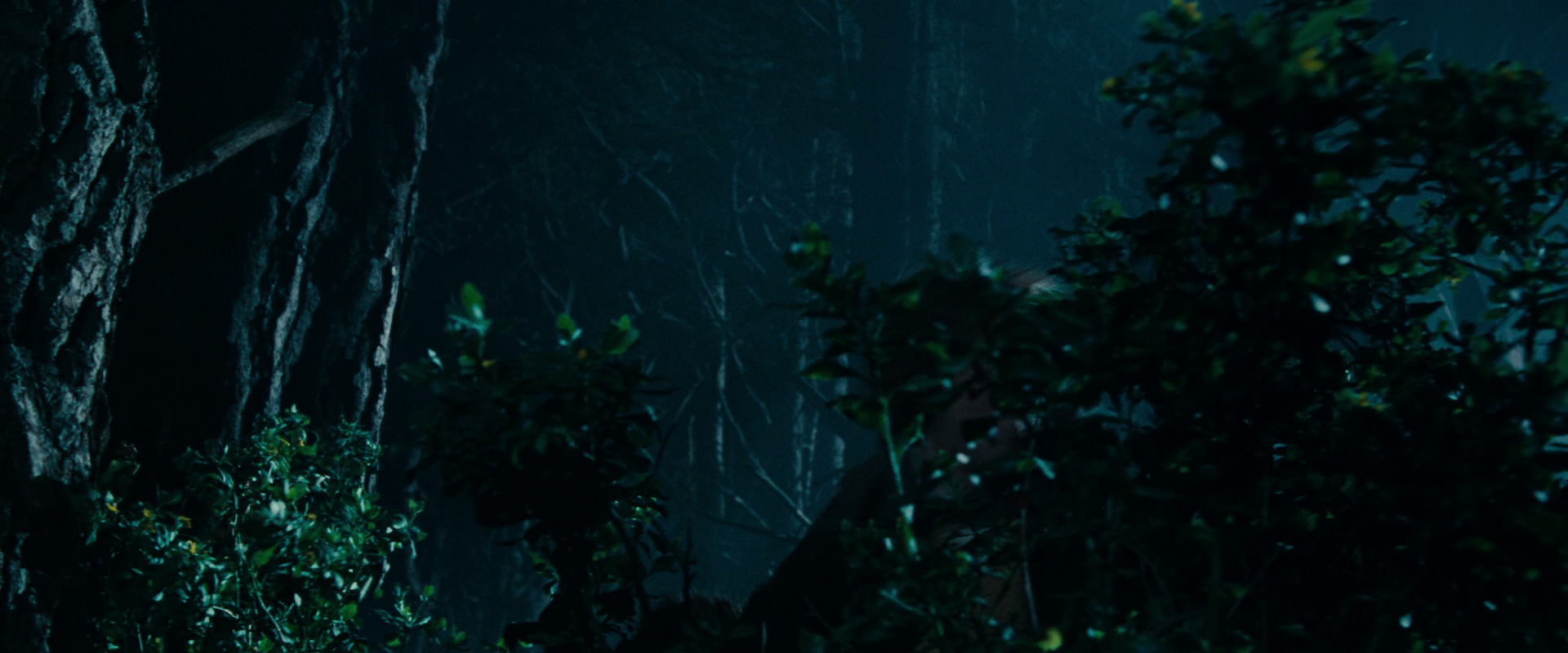 The Lord of the Rings: The Fellowship of the Ring (2001) movie still 6496