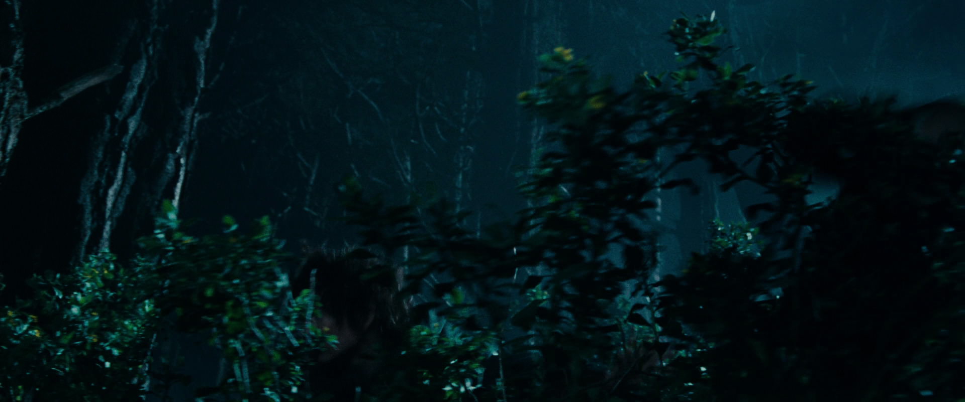 The Lord of the Rings: The Fellowship of the Ring (2001) HD screenshot 6497