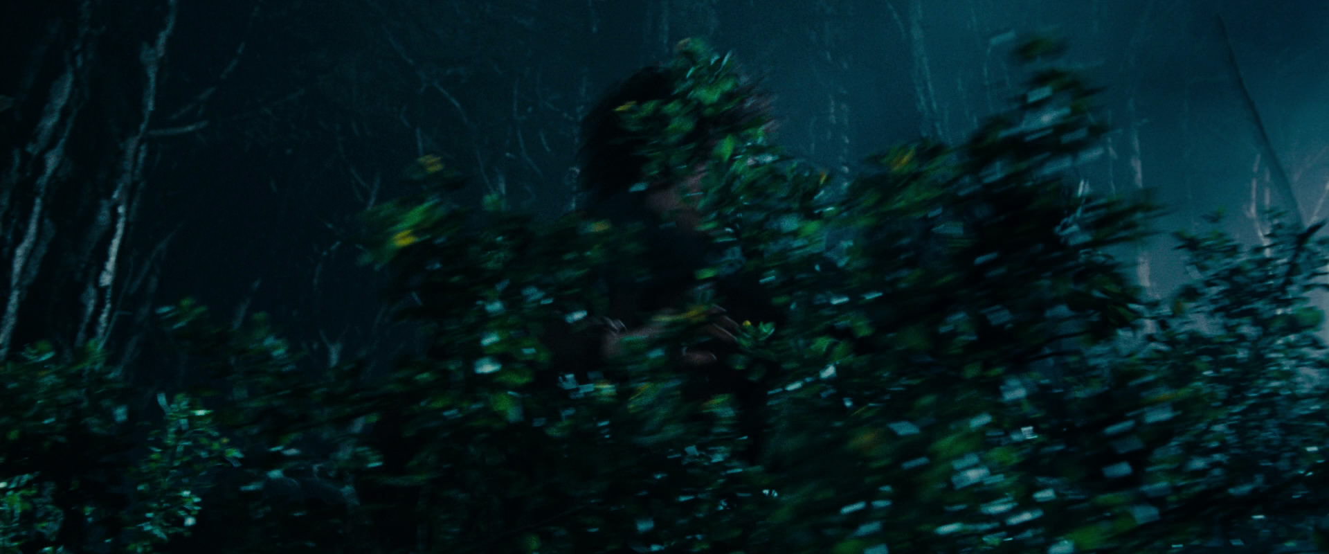 The Lord of the Rings: The Fellowship of the Ring (2001) screencap 6498