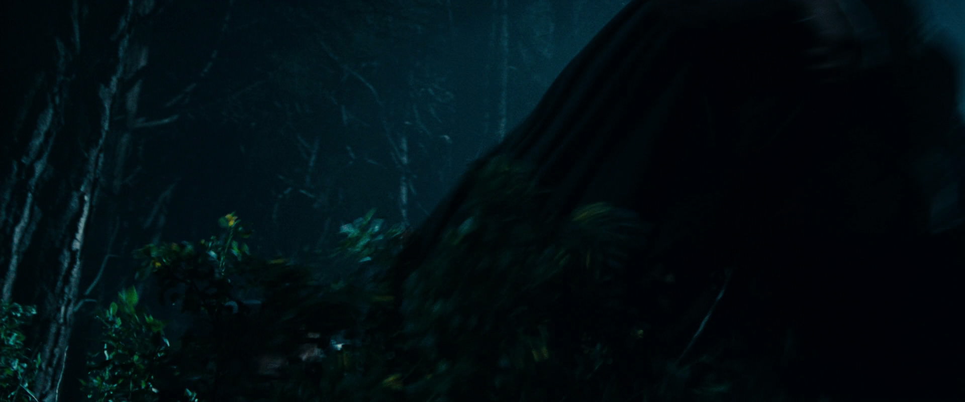 The Lord of the Rings: The Fellowship of the Ring (2001) movie still 6499