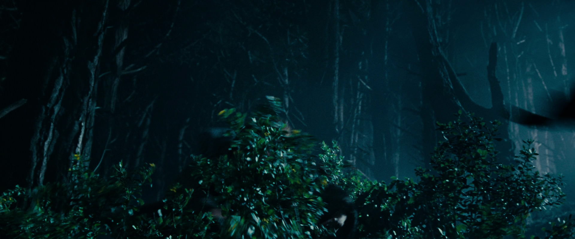 The Lord of the Rings: The Fellowship of the Ring (2001) HD screenshot 6500