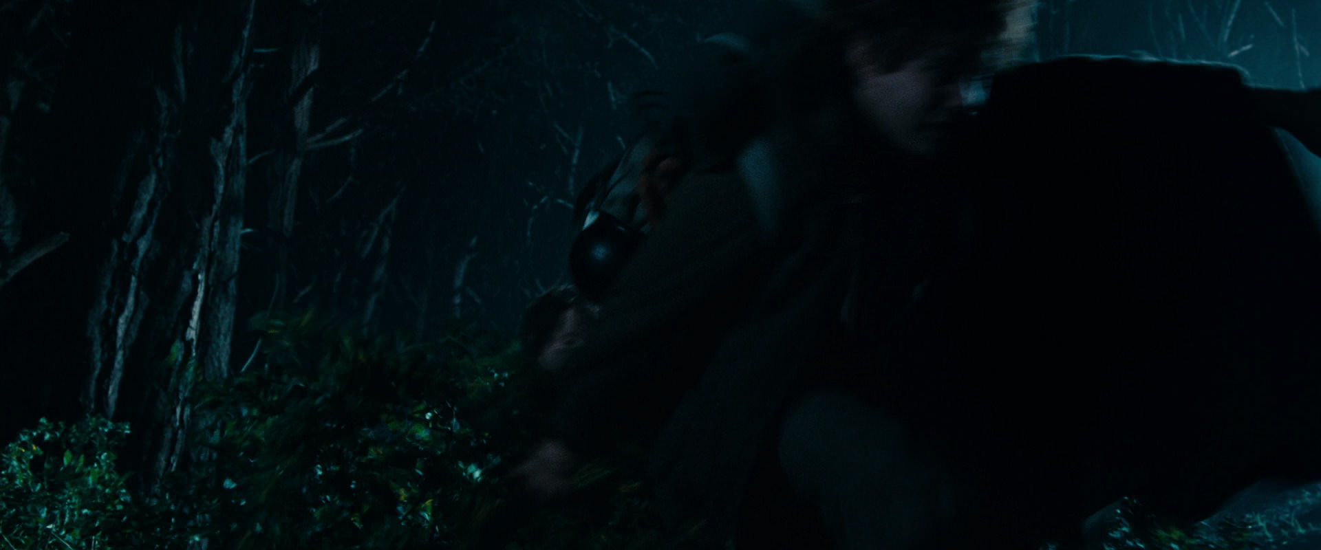 The Lord of the Rings: The Fellowship of the Ring (2001) screencap 6501