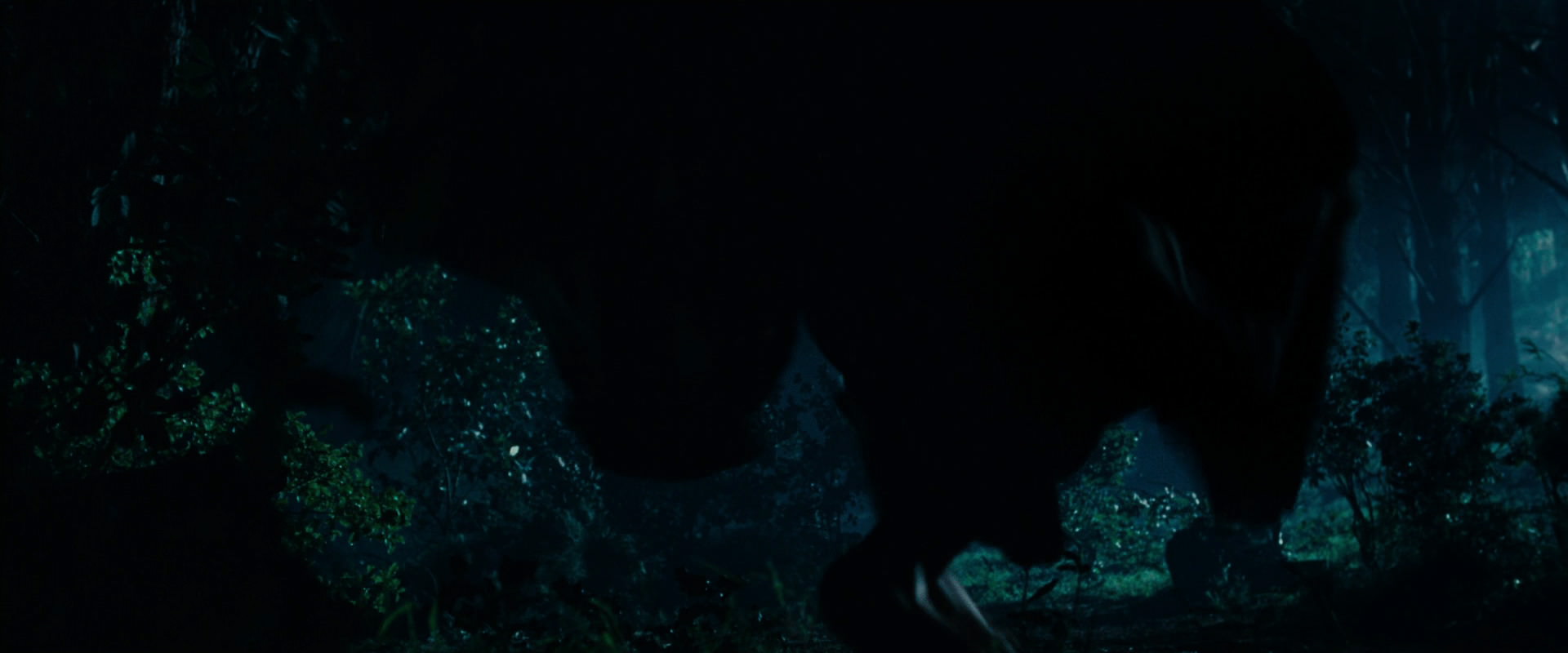 The Lord of the Rings: The Fellowship of the Ring (2001) movie still 6502