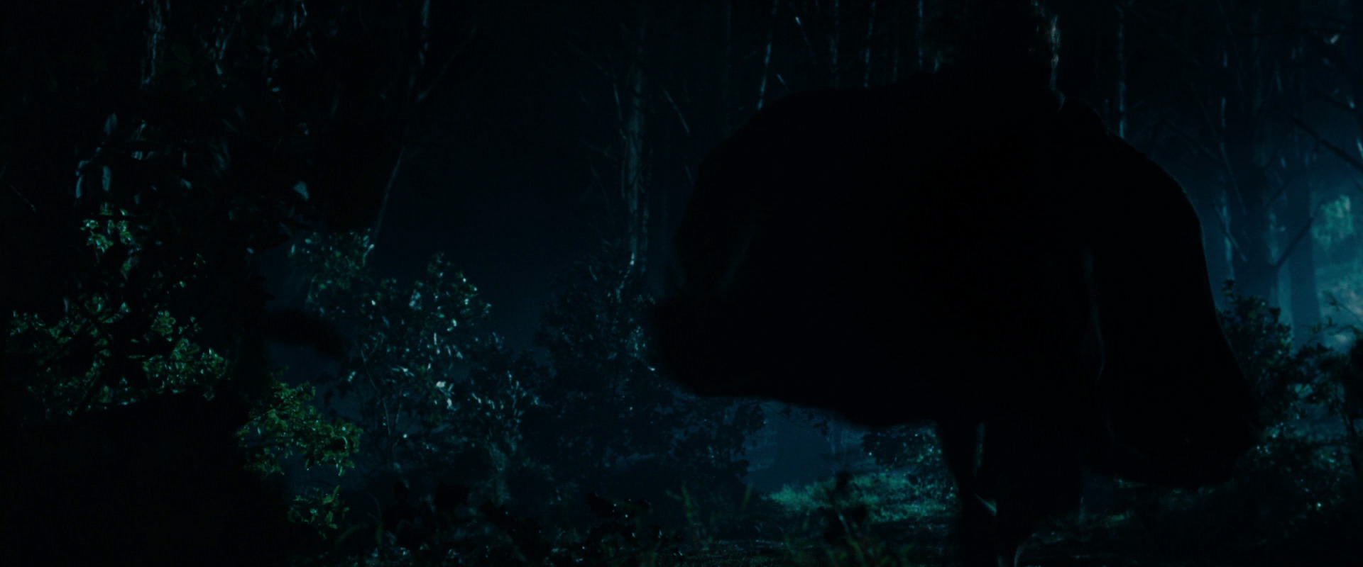 The Lord of the Rings: The Fellowship of the Ring (2001) HD screenshot 6503