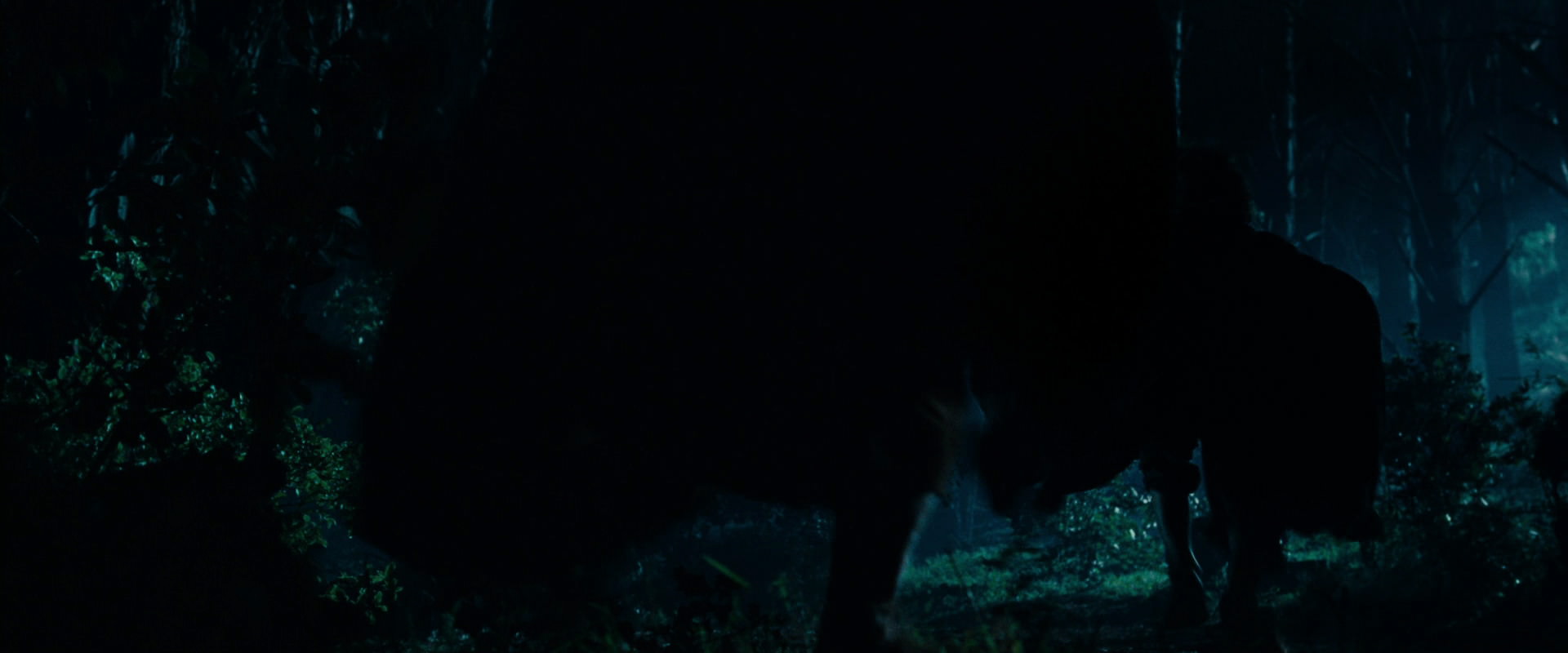 The Lord of the Rings: The Fellowship of the Ring (2001) screencap 6504
