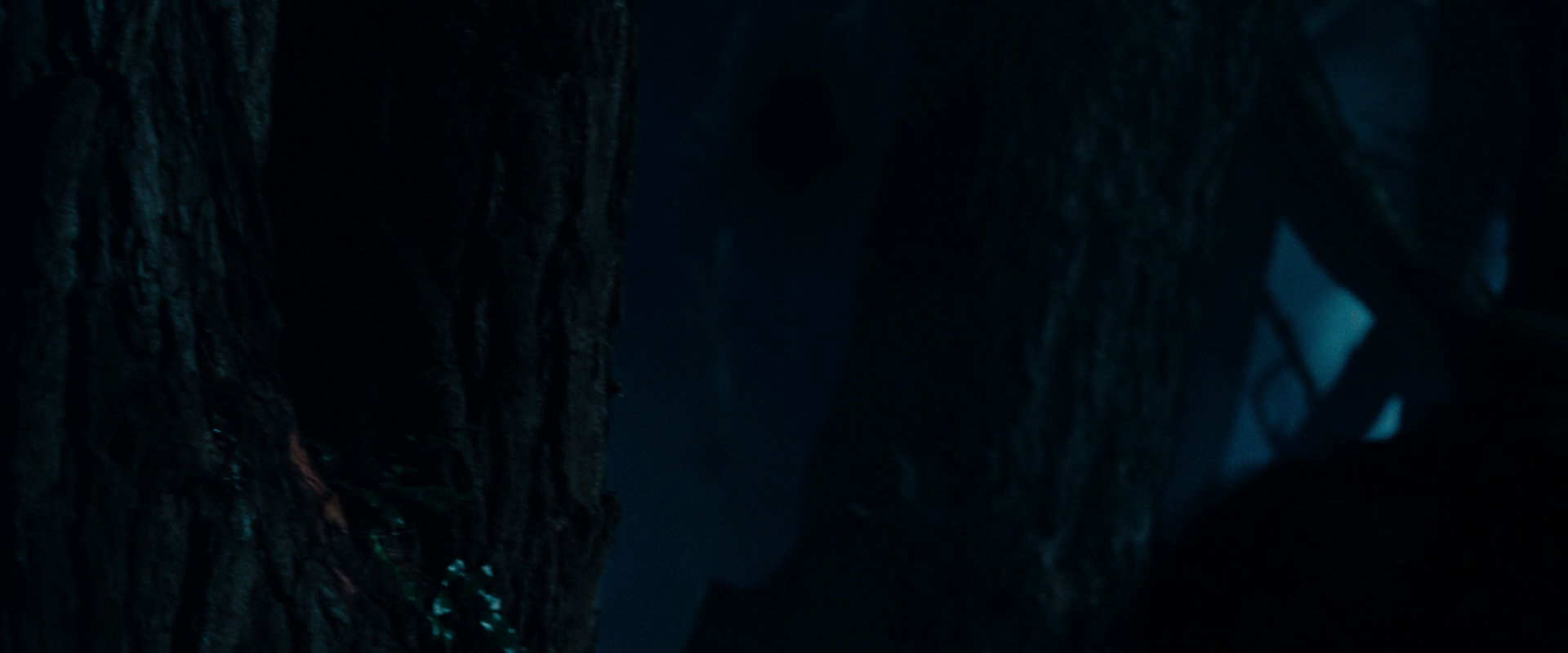 The Lord of the Rings: The Fellowship of the Ring (2001) movie still 6505