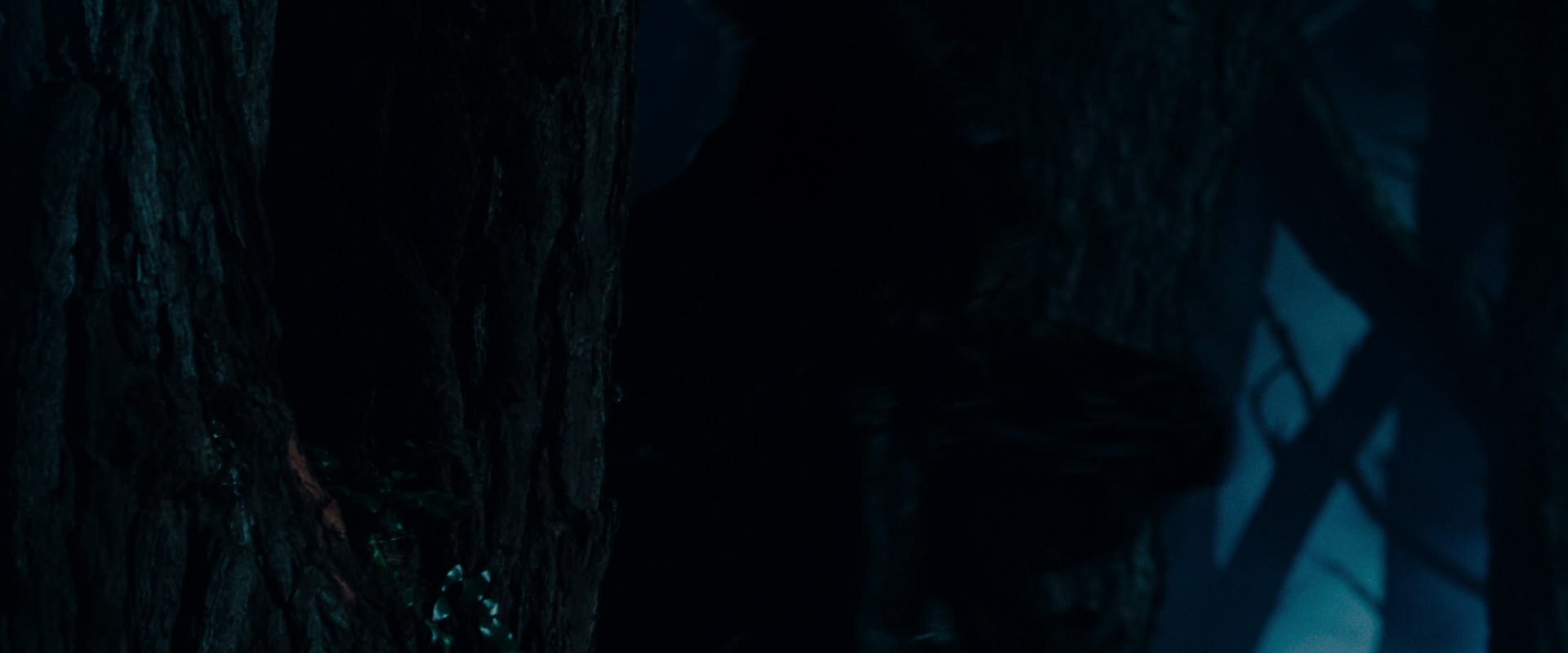 The Lord of the Rings: The Fellowship of the Ring (2001) HD screenshot 6506