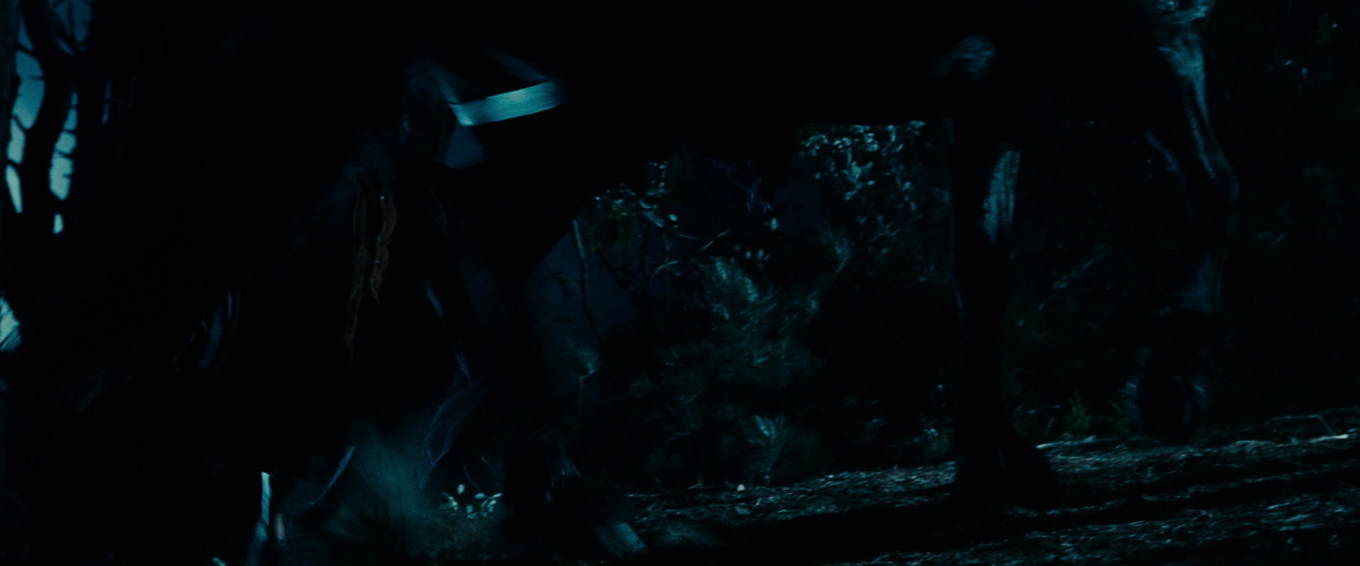 The Lord of the Rings: The Fellowship of the Ring (2001) screencap 6513