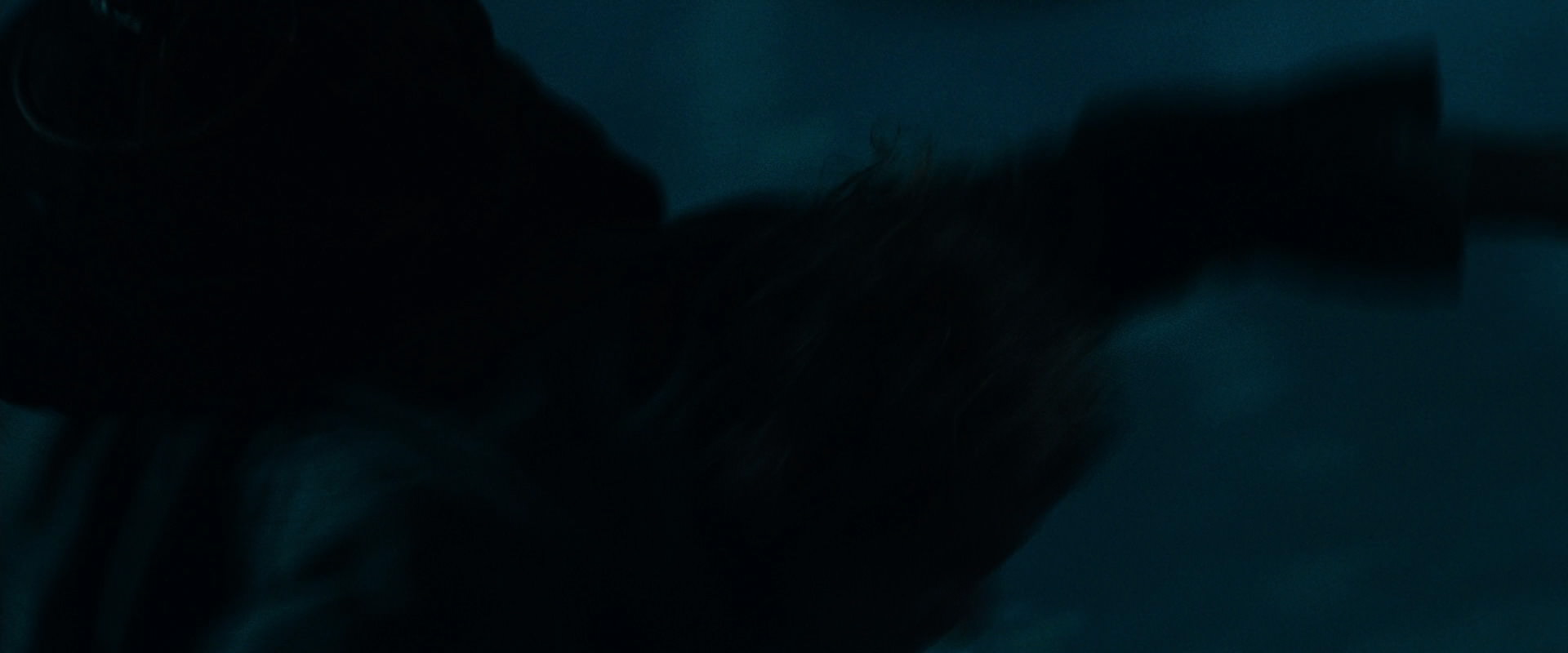 The Lord of the Rings: The Fellowship of the Ring (2001) screencap 6519