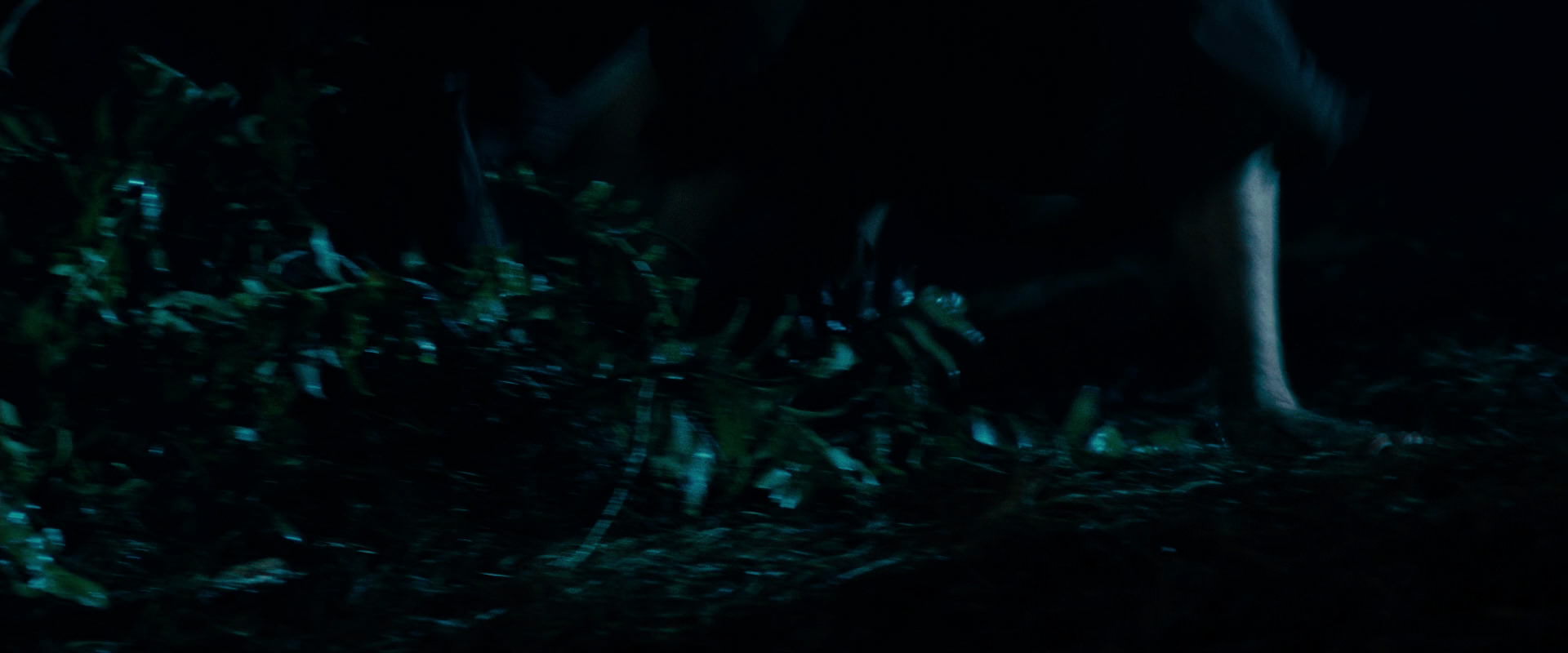 The Lord of the Rings: The Fellowship of the Ring (2001) movie still 6520