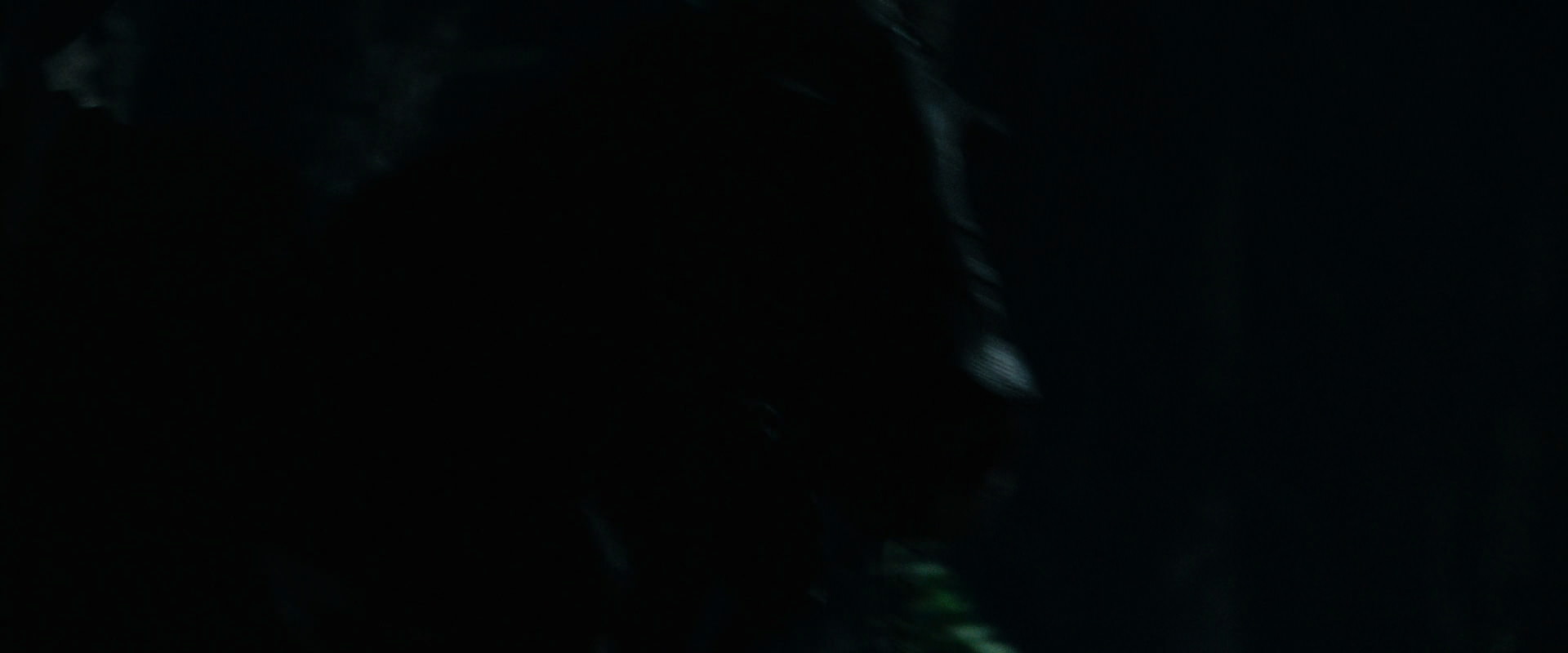The Lord of the Rings: The Fellowship of the Ring (2001) HD screenshot 6524