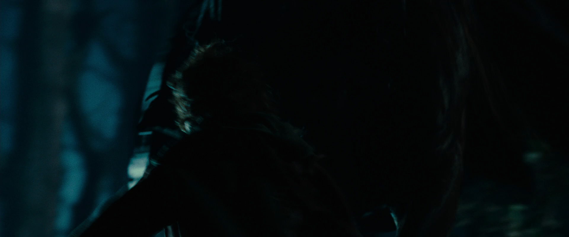 The Lord of the Rings: The Fellowship of the Ring (2001) movie still 6526