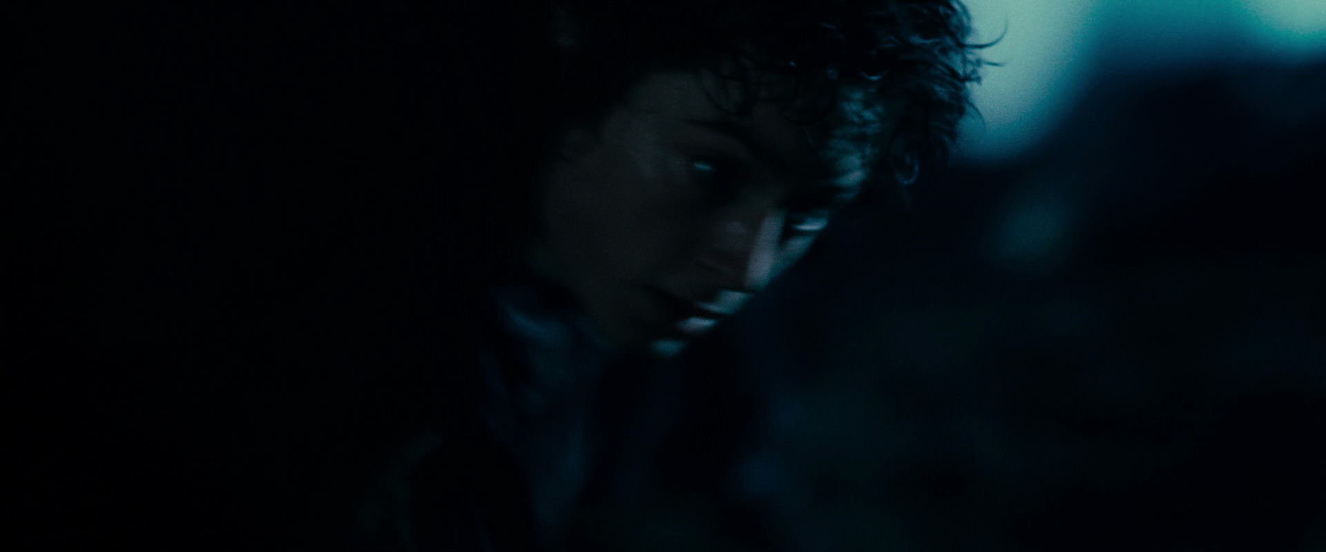 The Lord of the Rings: The Fellowship of the Ring (2001) screencap 6537