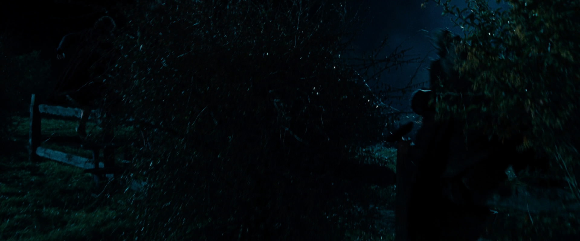 The Lord of the Rings: The Fellowship of the Ring (2001) screencap 6546