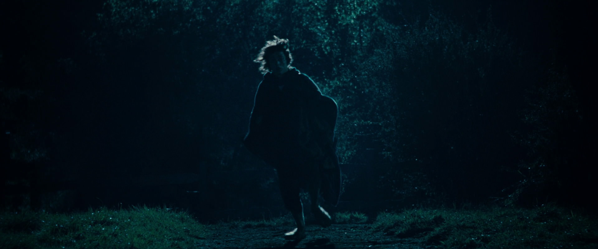 The Lord of the Rings: The Fellowship of the Ring (2001) HD screenshot 6569