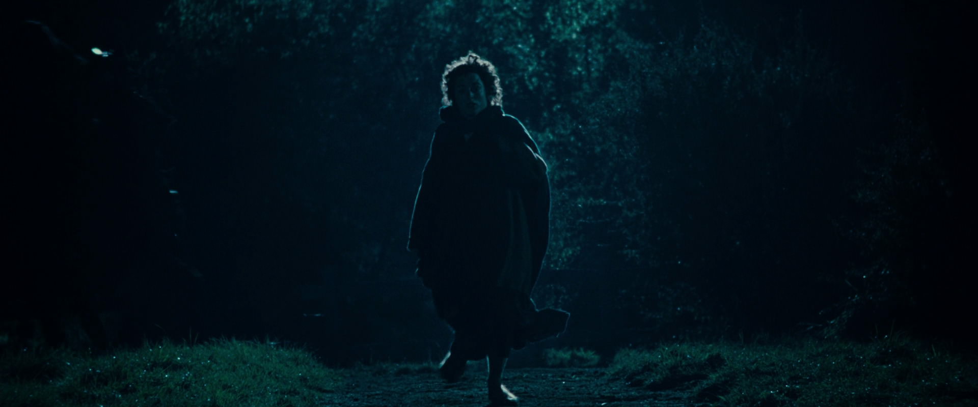 The Lord of the Rings: The Fellowship of the Ring (2001) screencap 6570