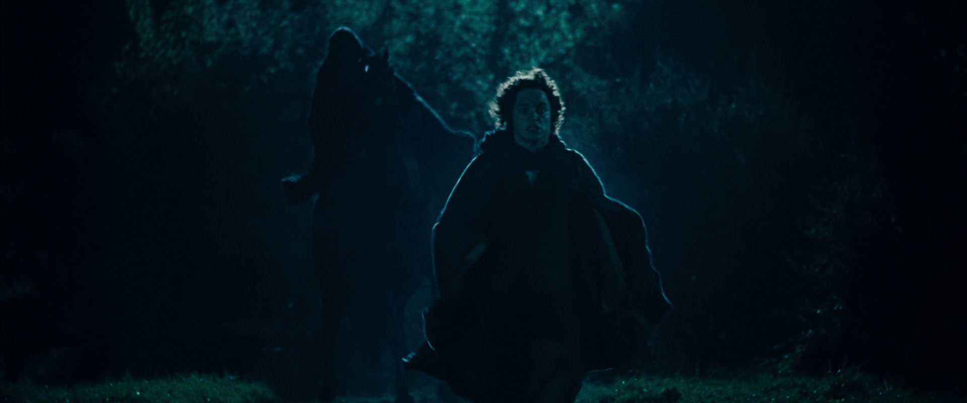 The Lord of the Rings: The Fellowship of the Ring (2001) screencap 6573