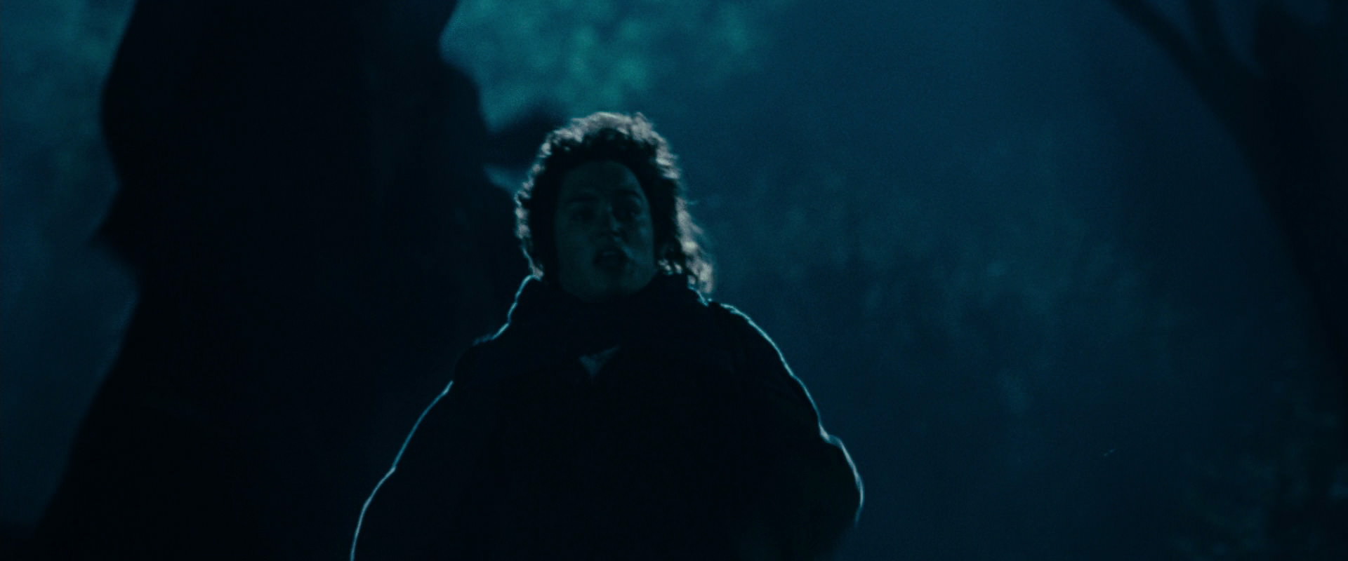 The Lord of the Rings: The Fellowship of the Ring (2001) movie still 6574