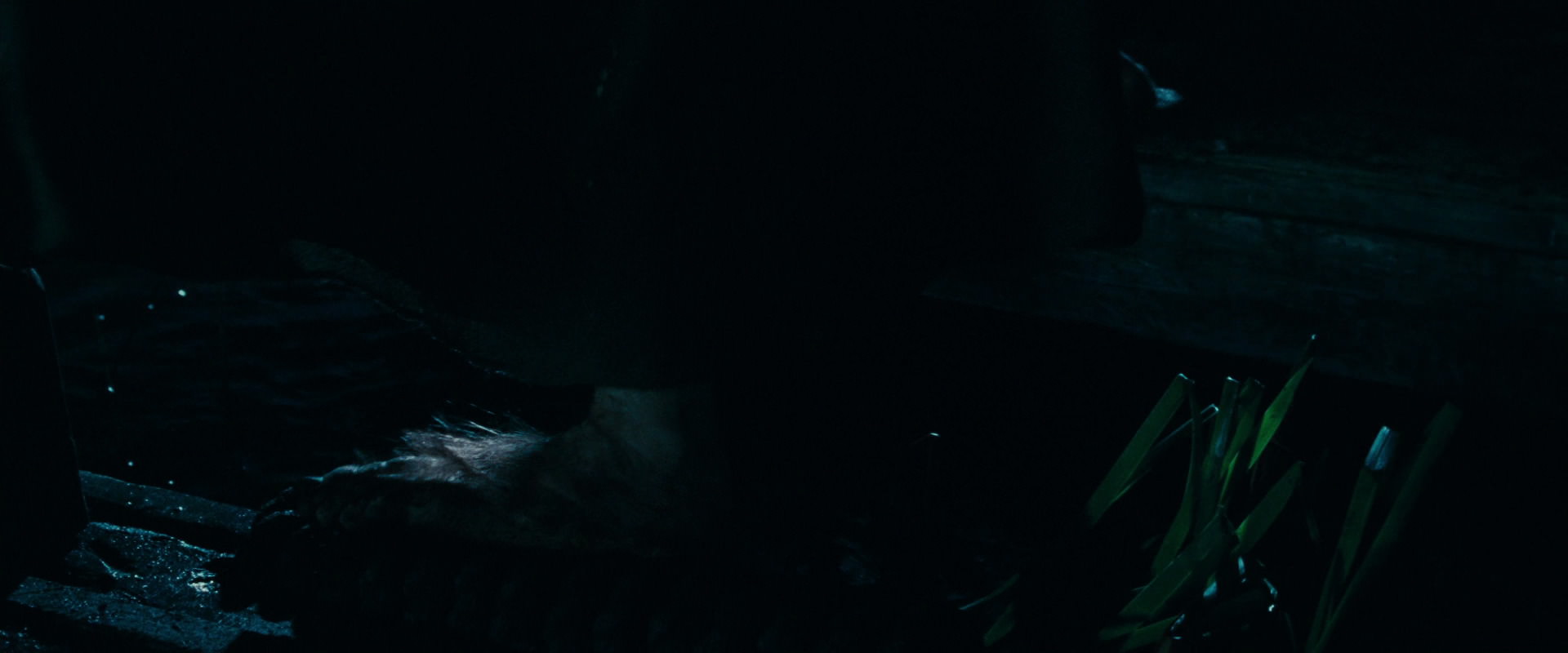 The Lord of the Rings: The Fellowship of the Ring (2001) HD screenshot 6575