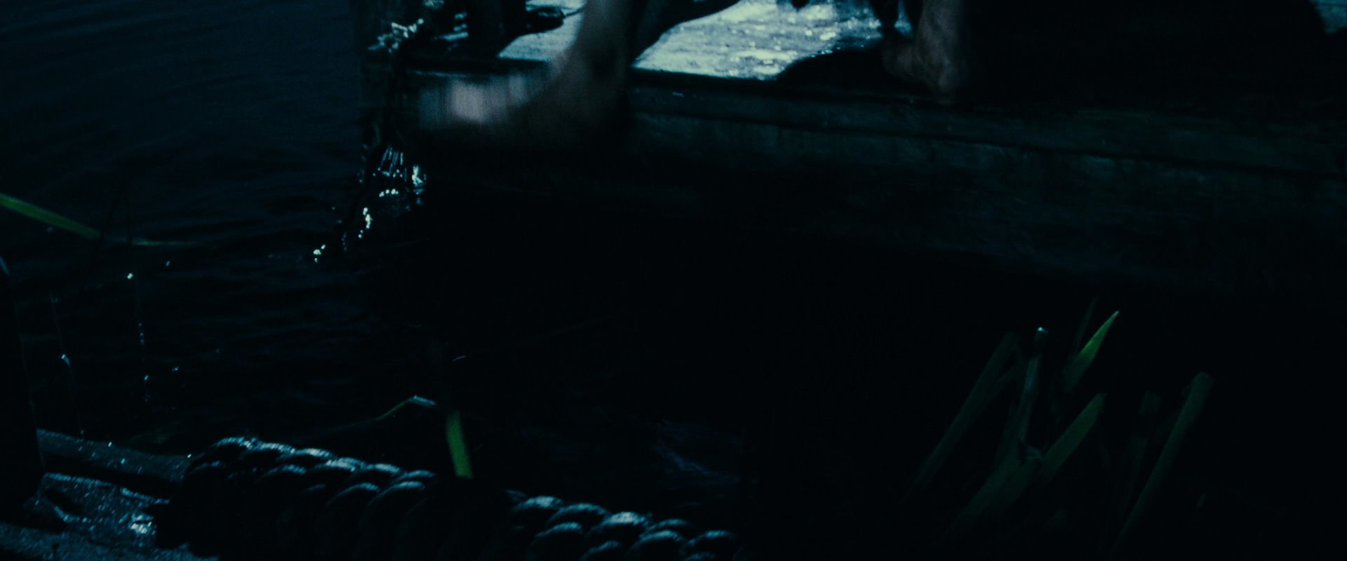 The Lord of the Rings: The Fellowship of the Ring (2001) screencap 6576