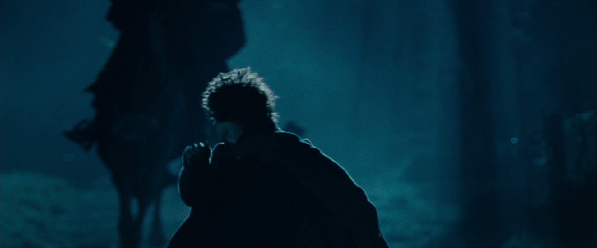 The Lord of the Rings: The Fellowship of the Ring (2001) screencap 6585