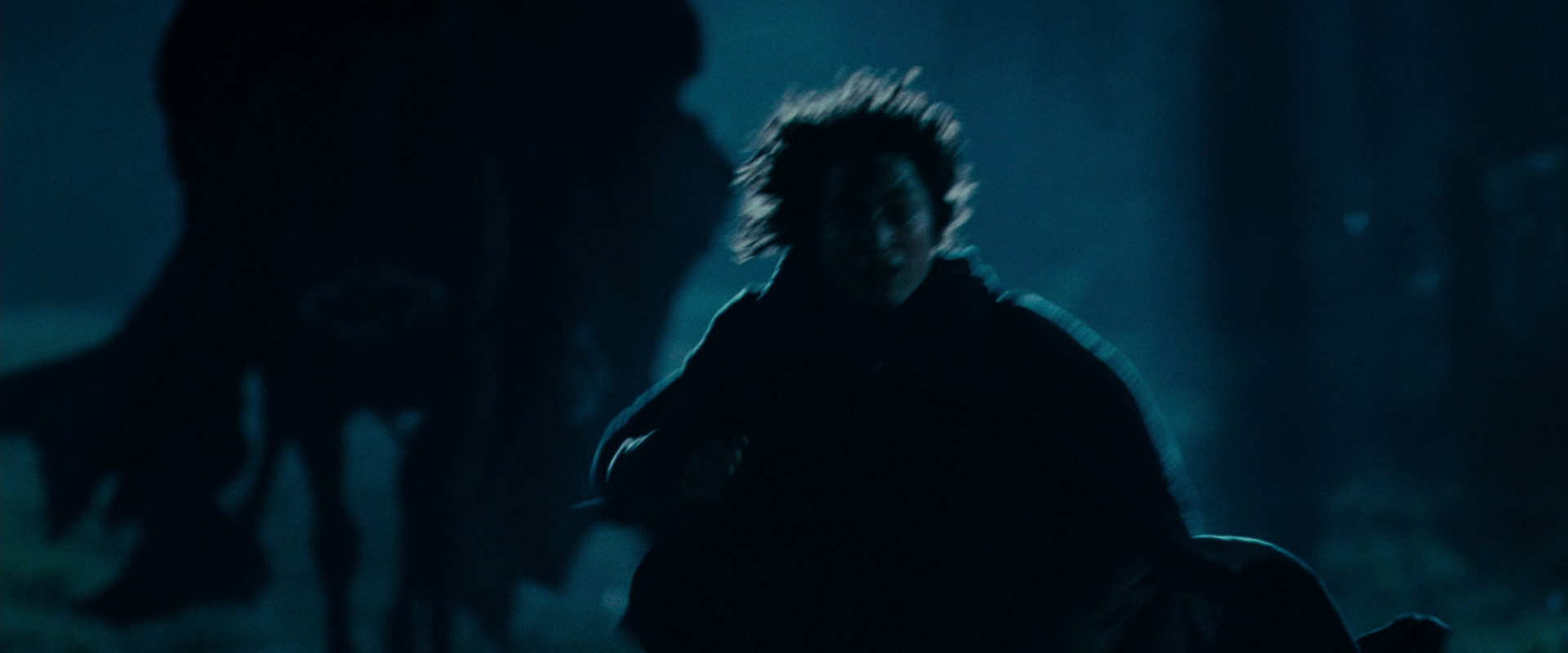 The Lord of the Rings: The Fellowship of the Ring (2001) HD screenshot 6587