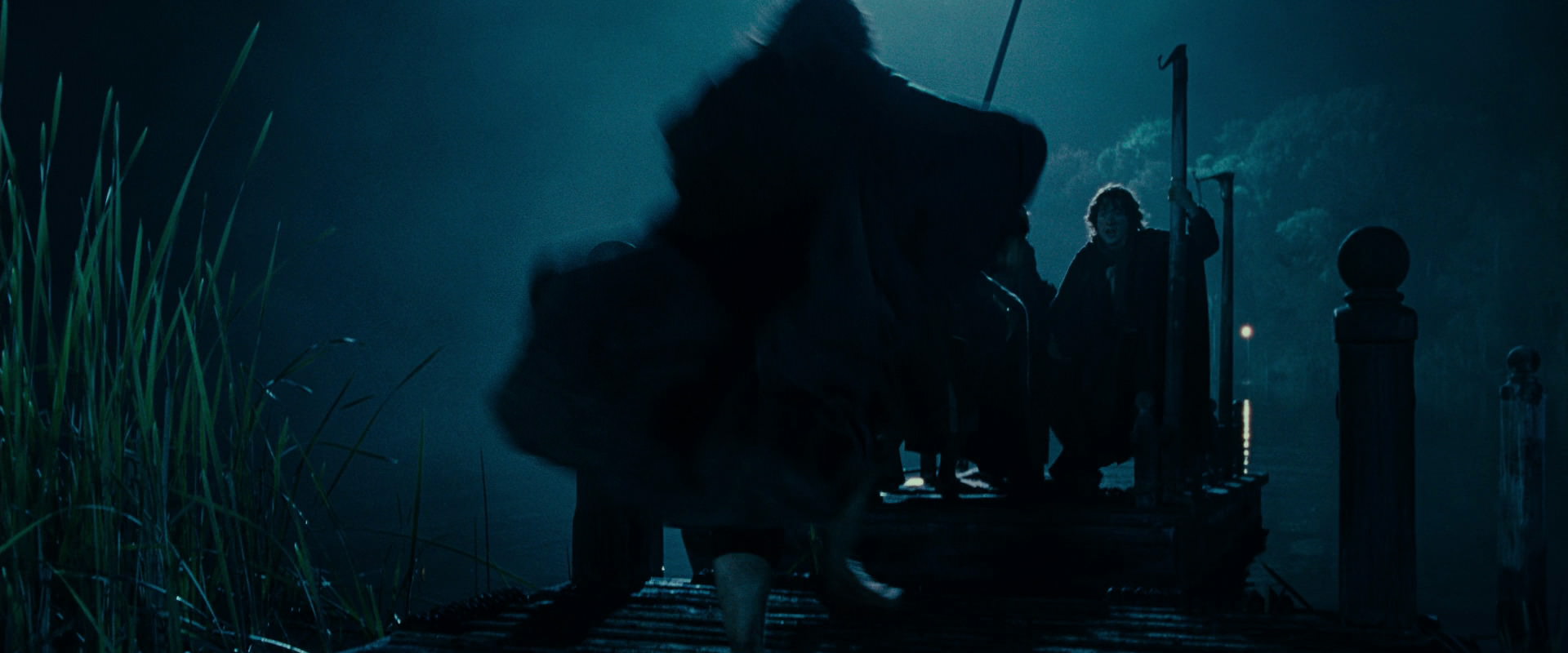 The Lord of the Rings: The Fellowship of the Ring (2001) screencap 6588