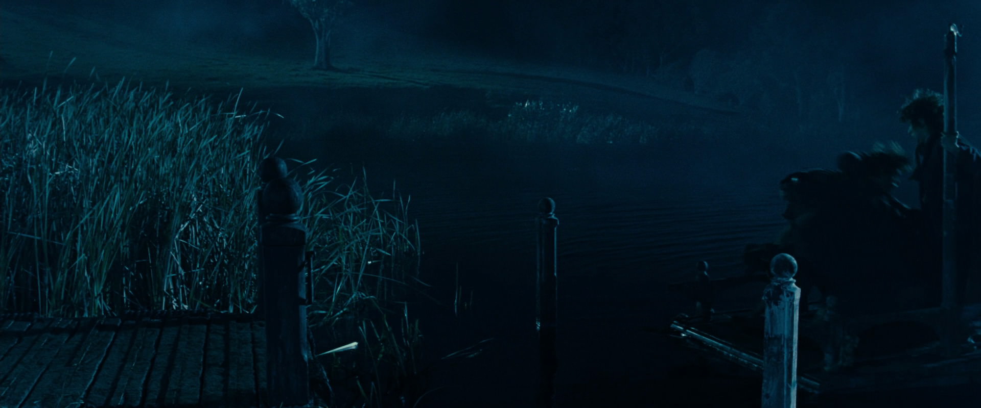 The Lord of the Rings: The Fellowship of the Ring (2001) screencap 6591