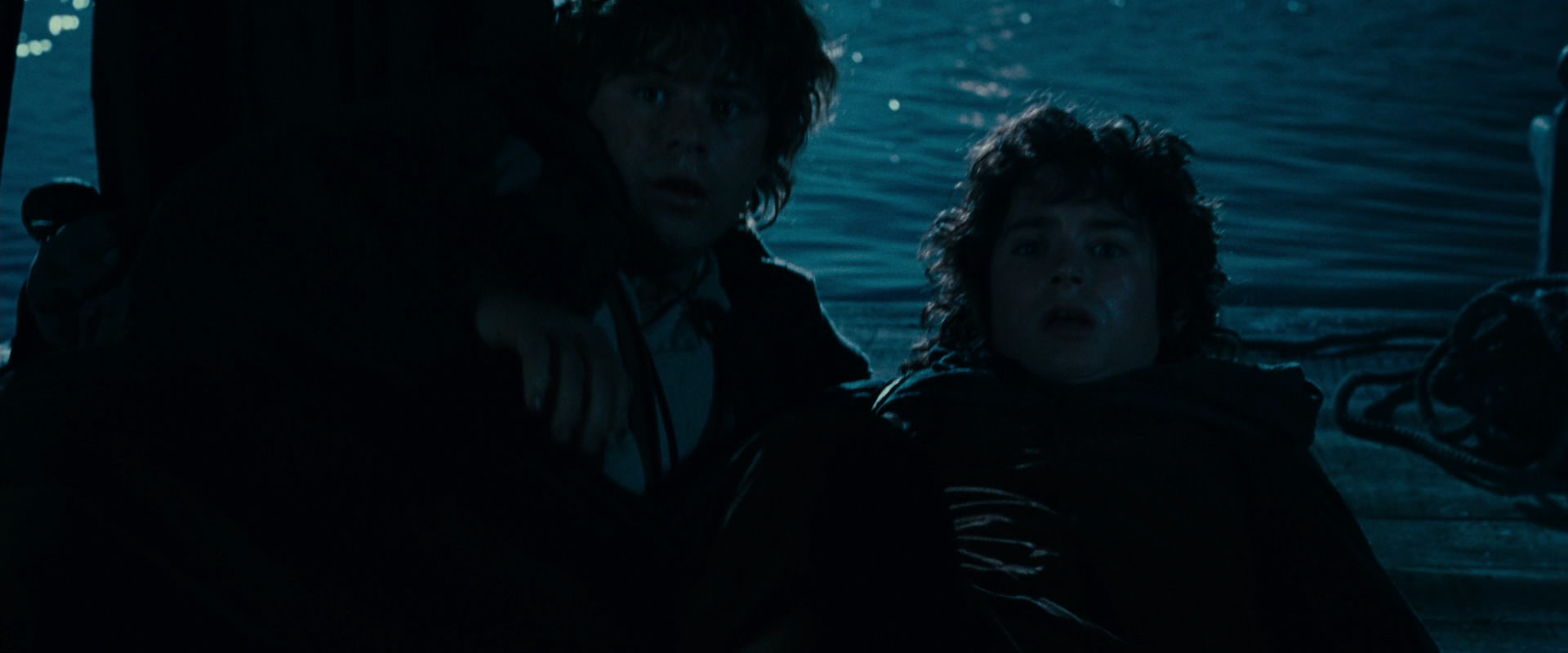 The Lord of the Rings: The Fellowship of the Ring (2001) screencap 6606