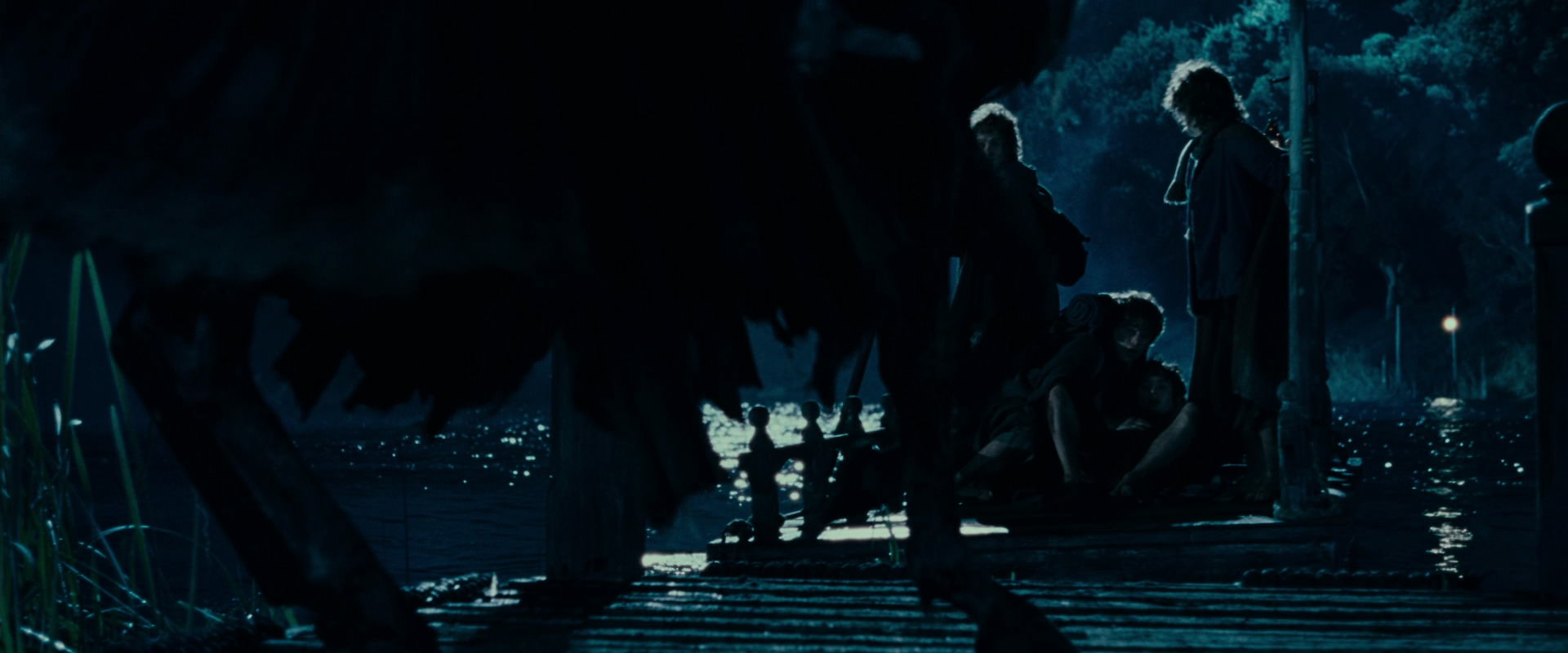 The Lord of the Rings: The Fellowship of the Ring (2001) screencap 6609