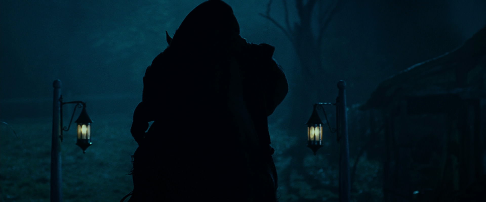 The Lord of the Rings: The Fellowship of the Ring (2001) screencap 6615