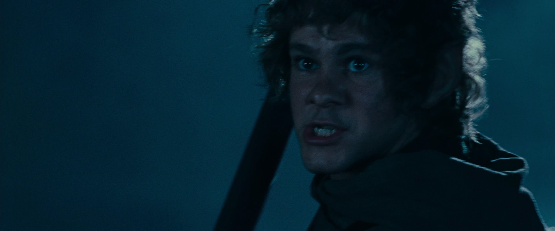 The Lord of the Rings: The Fellowship of the Ring (2001) HD screenshot 6623