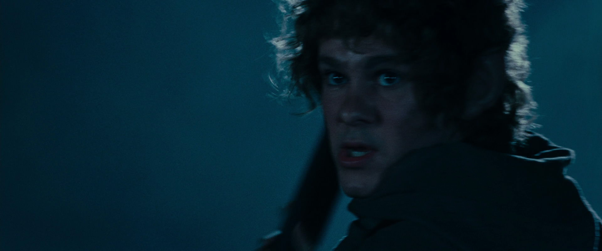 The Lord of the Rings: The Fellowship of the Ring (2001) screencap 6624